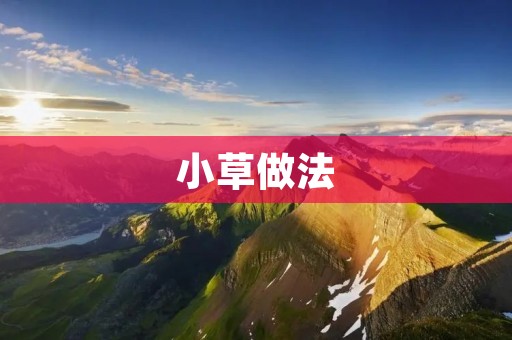小草做法：让你轻松掌握小草的美味制作技巧