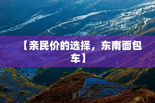 【亲民价的选择，东南面包车】
