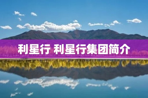 利星行 利星行集团简介 利星行 利星行集团简介