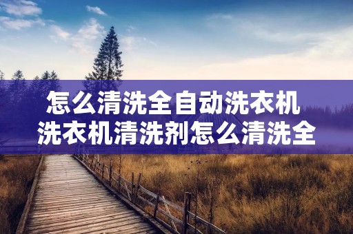 怎么清洗全自动洗衣机 洗衣机清洗剂怎么清洗全自动洗衣机 怎么清洗全自动洗衣机 洗衣机清洗剂怎么清洗全自动洗衣机
