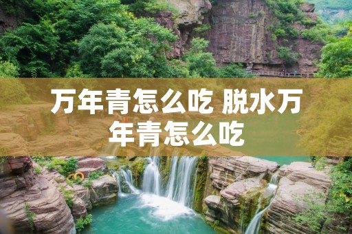 万年青怎么吃 脱水万年青怎么吃
