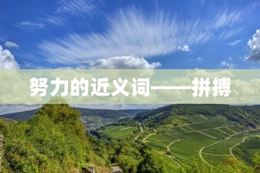 努力的近义词——拼搏
