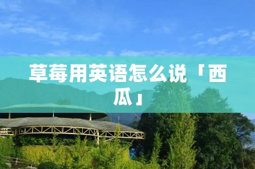 草莓用英语怎么说「西瓜」 草莓用英语怎么说「西瓜」