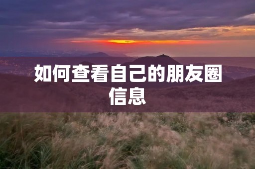 如何查看自己的朋友圈信息