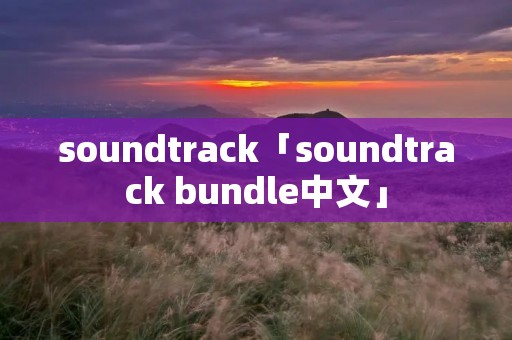soundtrack「soundtrack bundle中文」
