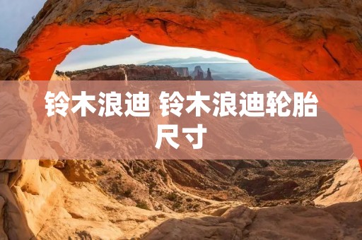 铃木浪迪 铃木浪迪轮胎尺寸