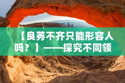 【良莠不齐只能形容人吗？】——探究不同领域中的良莠不齐现象
