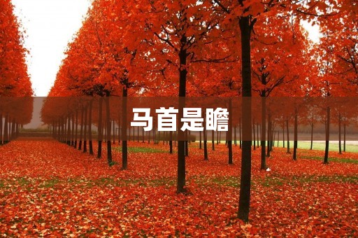 马首是瞻:中国古代传统文化的代表
