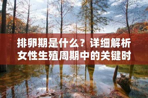 排卵期是什么?详细解析女性生殖周期中的关键时期