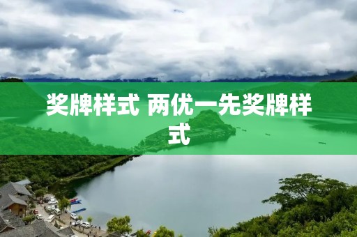 奖牌样式 两优一先奖牌样式