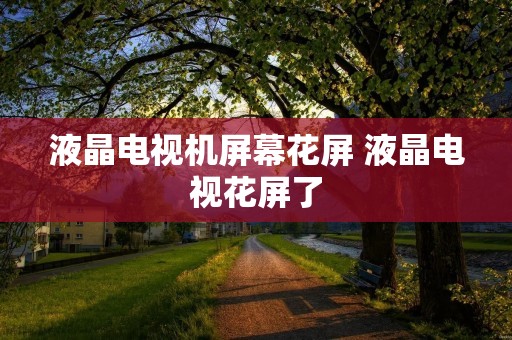 液晶电视机屏幕花屏 液晶电视花屏了