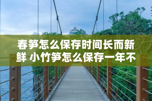 春笋怎么保存时间长而新鲜 小竹笋怎么保存一年不坏