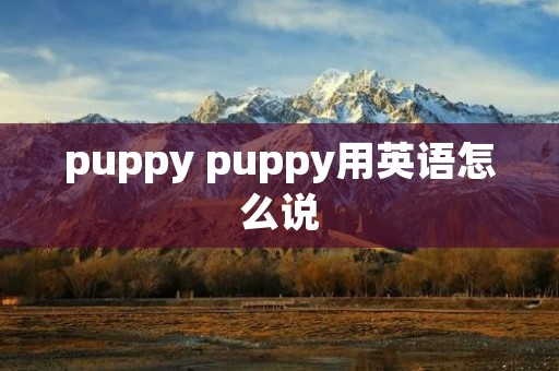 puppy puppy用英语怎么说