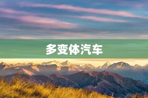 多变体汽车：重新定义出行方式