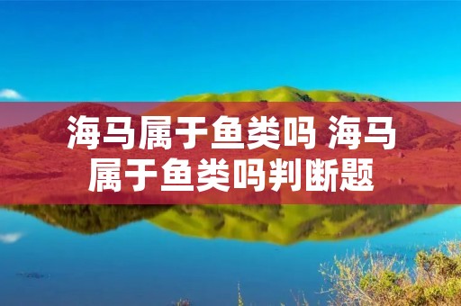 海马属于鱼类吗 海马属于鱼类吗判断题