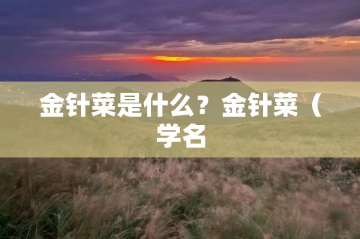 金针菜是什么?金针菜(学名:Oenanthe javanica)是一种常见的野菜,也是中国传统的药用植物之一。它属于伞形科,是多年生草本植物,生长在水边、湖泊、河流、池塘等潮湿的环境中。金针菜由于其营养丰富,味道鲜美,被誉为“江南第一蔬”。