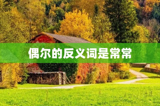 偶尔的反义词是常常