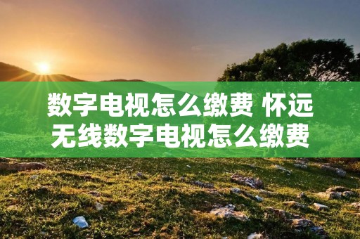 数字电视怎么缴费 怀远无线数字电视怎么缴费
