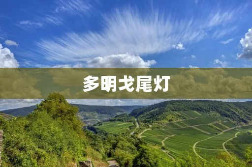 多明戈尾灯:时尚设计,高品质体验 多明戈尾灯:时尚设计,高品质体验