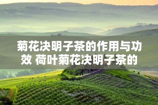 菊花决明子茶的作用与功效 荷叶菊花决明子茶的作用与功效