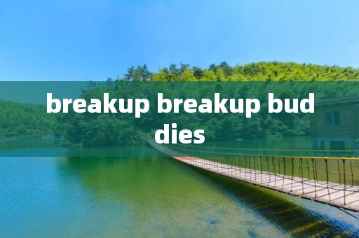 breakup breakup buddies