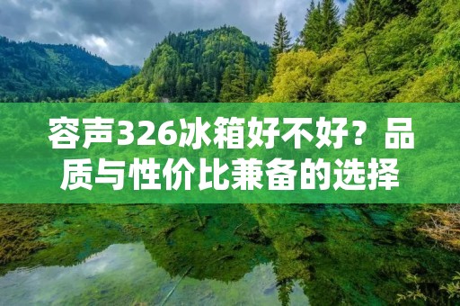 容声326冰箱好不好？品质与性价比兼备的选择