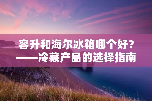 容升和海尔冰箱哪个好？——冷藏产品的选择指南