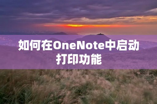 如何在OneNote中启动打印功能