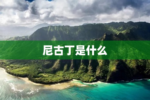 尼古丁是什么:原理、化学成分及其对人体的影响