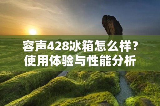 容声428冰箱怎么样？使用体验与性能分析