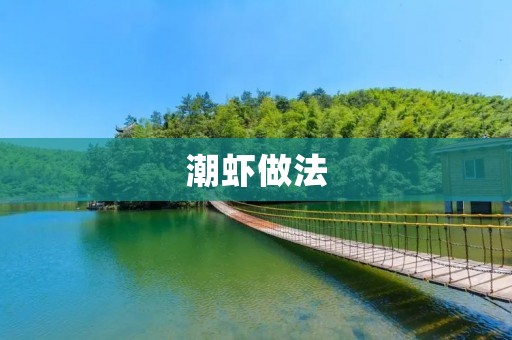 潮虾做法:让你在家也能吃到餐厅级别的美味 潮虾做法:让你在家也能吃到餐厅级别的美味