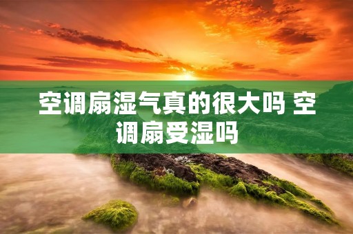 空调扇湿气真的很大吗 空调扇受湿吗