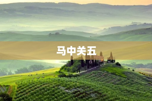 马中关五：中国特色的智慧与勇气