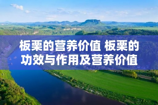 板栗的营养价值 板栗的功效与作用及营养价值 板栗的营养价值 板栗的功效与作用及营养价值