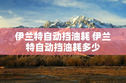 伊兰特自动挡油耗 伊兰特自动挡油耗多少