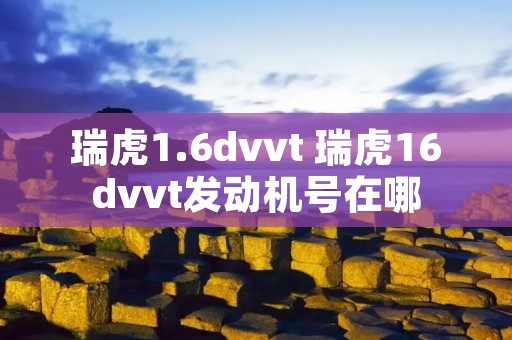 瑞虎1.6dvvt 瑞虎16dvvt发动机号在哪