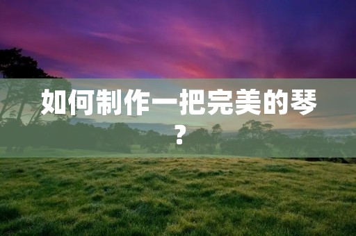 如何制作一把完美的琴? 如何制作一把完美的琴?