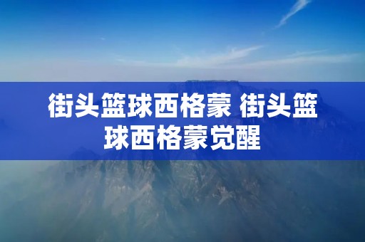 街头篮球西格蒙 街头篮球西格蒙觉醒