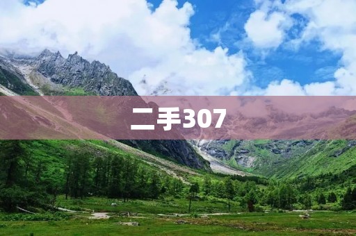 二手307:优质家用车的不二选择 二手307:优质家用车的不二选择