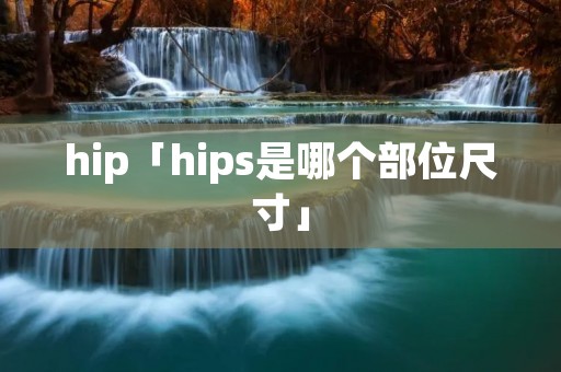 hip「hips是哪个部位尺寸」