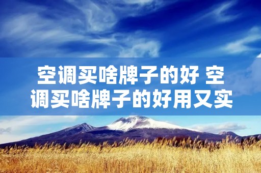空调买啥牌子的好 空调买啥牌子的好用又实惠