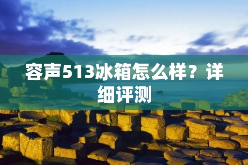 容声513冰箱怎么样？详细评测
