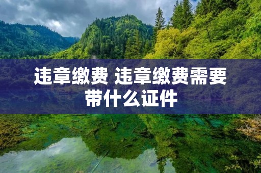 违章缴费 违章缴费需要带什么证件 违章缴费 违章缴费需要带什么证件