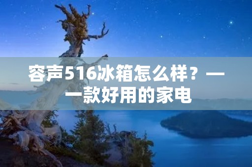 容声516冰箱怎么样？— 一款好用的家电