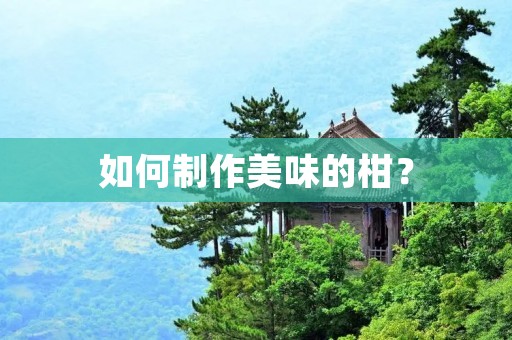 如何制作美味的柑？