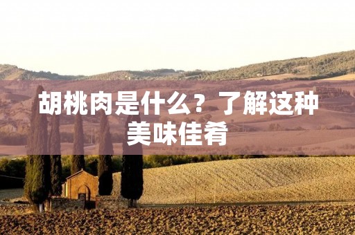 胡桃肉是什么?了解这种美味佳肴