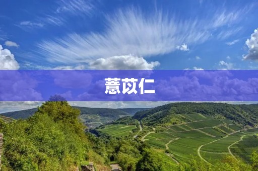 薏苡仁:一种营养丰富的食材