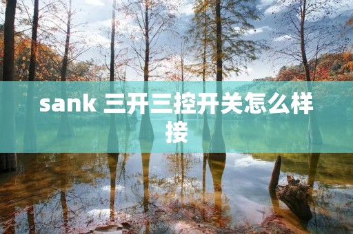 sank 三开三控开关怎么样接