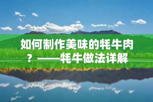 如何制作美味的牦牛肉?——牦牛做法详解 如何制作美味的牦牛肉?——牦牛做法详解