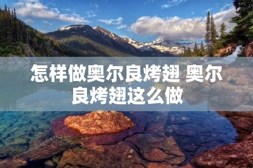 怎样做奥尔良烤翅 奥尔良烤翅这么做